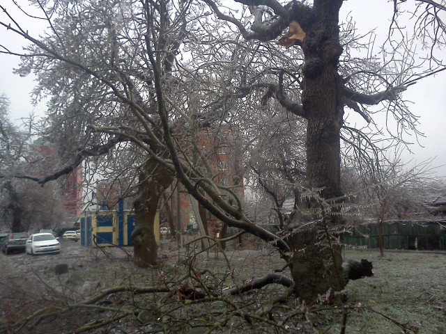 Краснодар в глазури