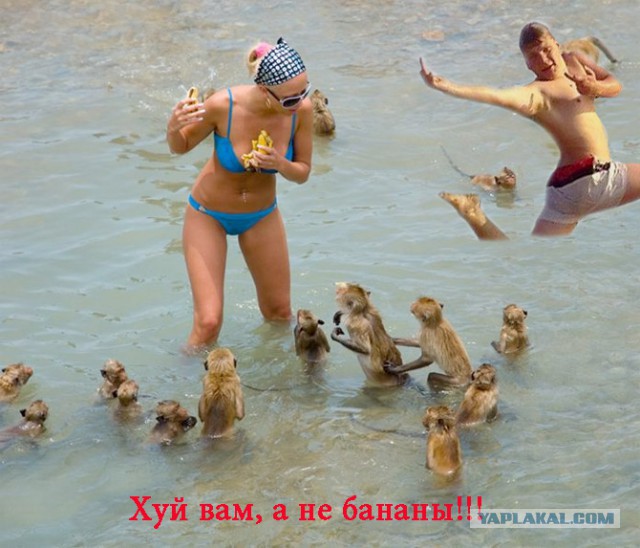 Просил обработать фото.