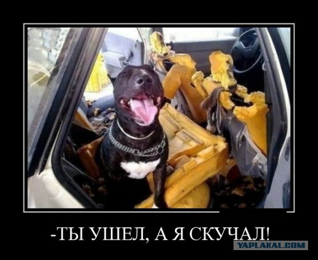 Демотиваторов пост, добавляйте свои