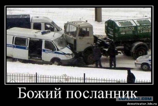 Смешные картинки