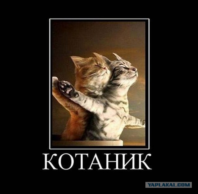 Весёлое из сети