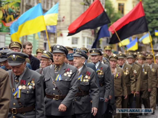 Украинская армия начала контрнаступление