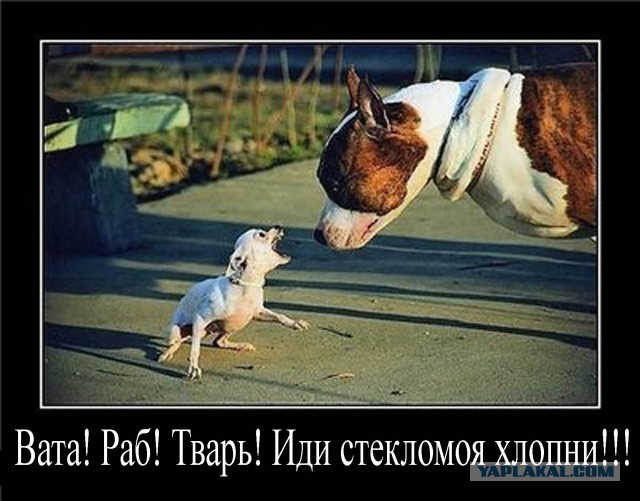 Крым. Путь на родину.