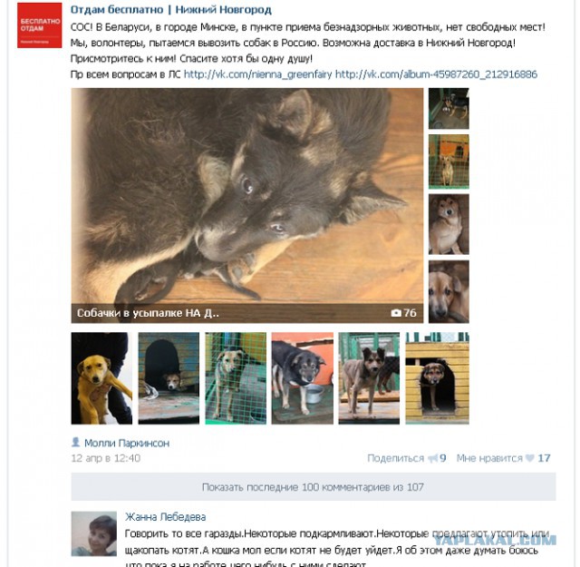 Она лежала на земле, не подавая признаков жизни