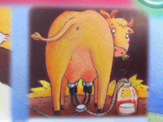 Энциклопедия для самых маленьких.