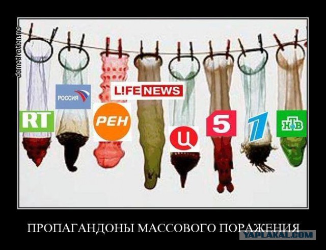 Милонов: будет нормальным вырубить Facebook