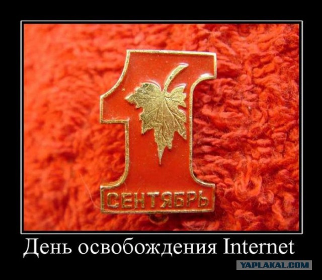Черный юмор из социальных сетей