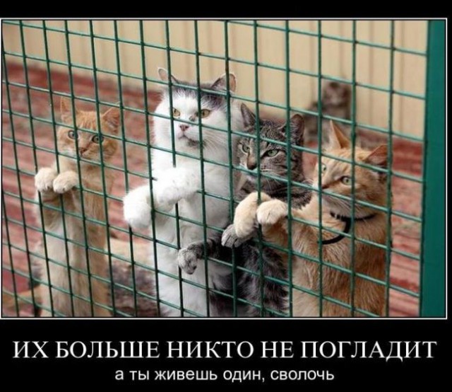 Картинки разные с интернету