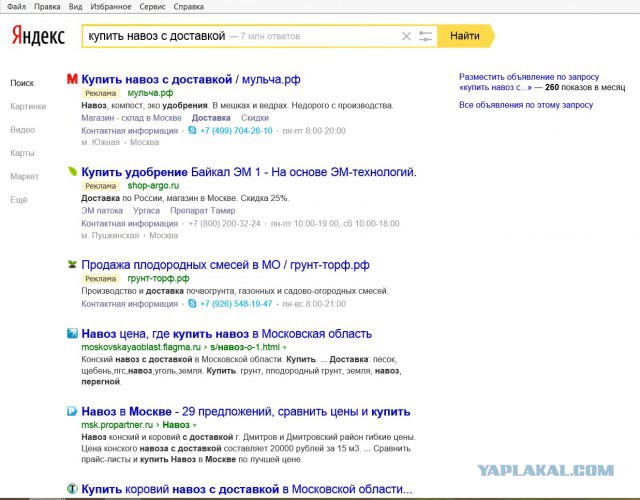 Жители ЖК "Новое Домодедово" закопали свою управляющую компанию