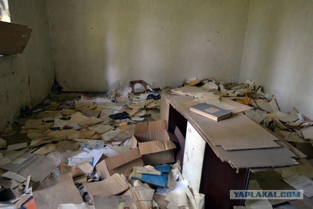 Семикаракорский консервный завод