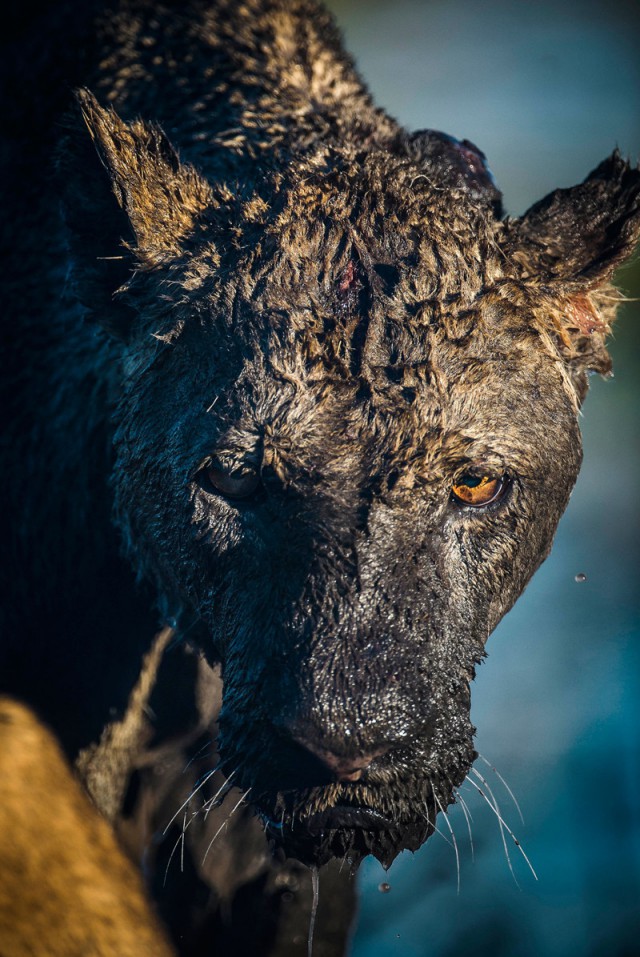 Подборка интересных и веселых картинок