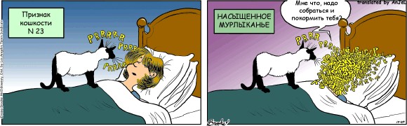 Признаки кошкости
