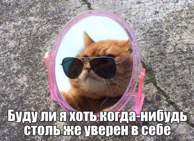 Подборка интересных и смешных картинок