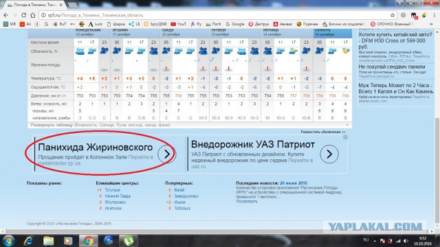 Подборка картинок