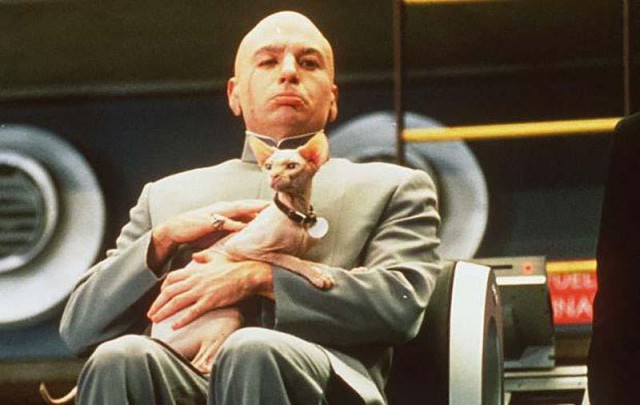 Служебные коты