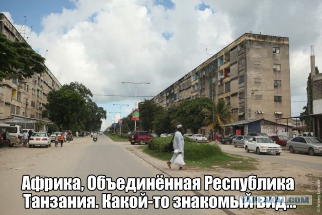 Картинки ИЗ сети