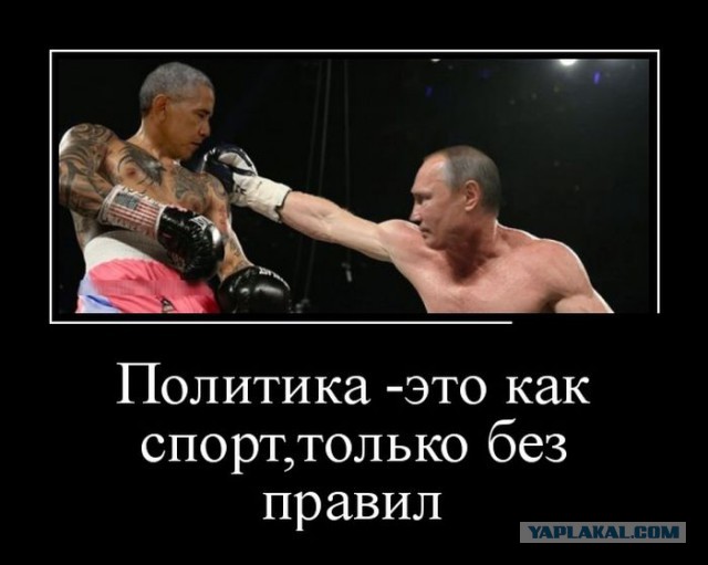 Баяны в чёрных рамках