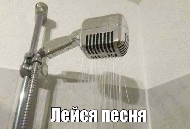 Подборка безудержного веселья
