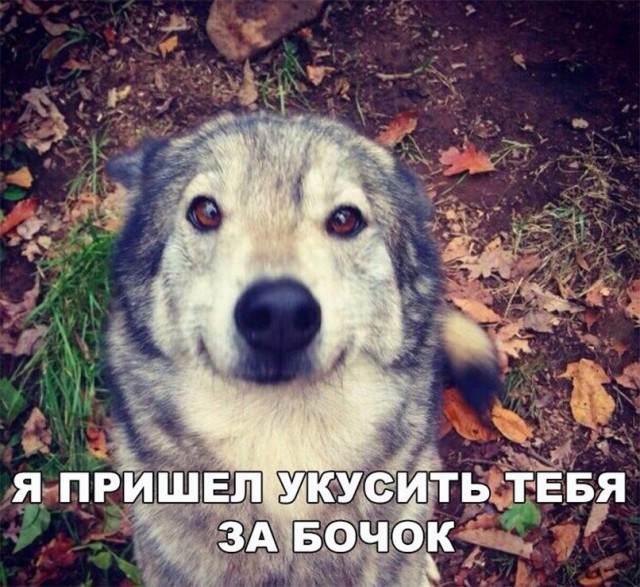 Нестандартный юмор