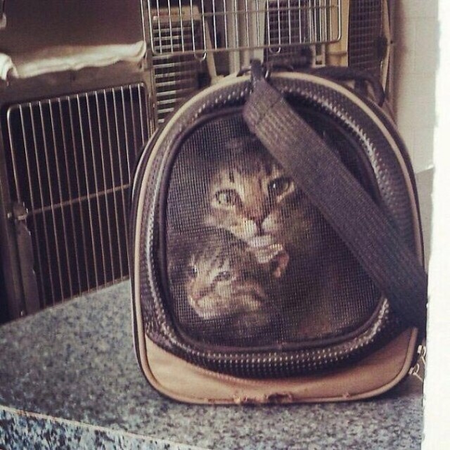 Фото, происходящее на которых вызывает море вопросов
