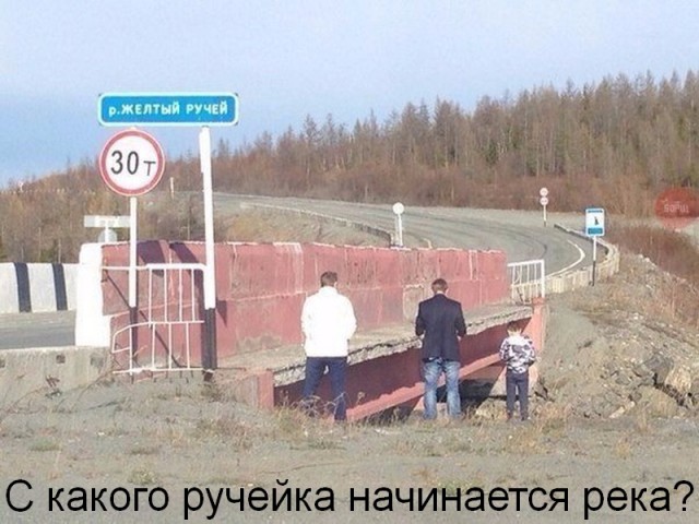 Картинки по-приколу