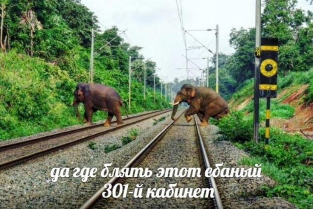 Немного картинок в этот четверг