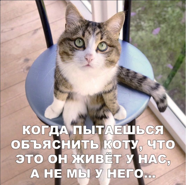 Нестандартный юмор