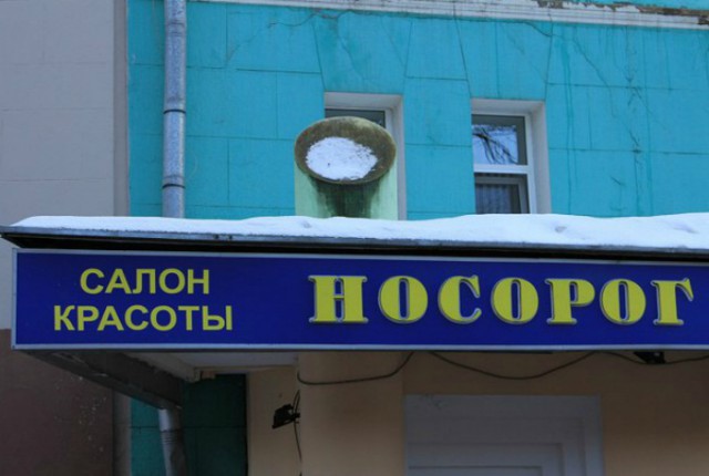 Фотографии, доказывающих, что в мире очень много смешного безумия