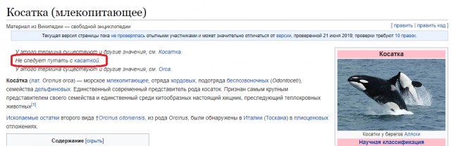 Почему акулы боятся дельфинов?