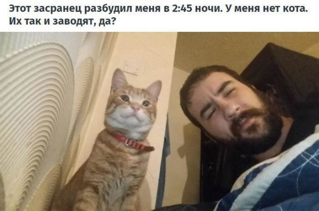 Чуток картинок! 30.10.19