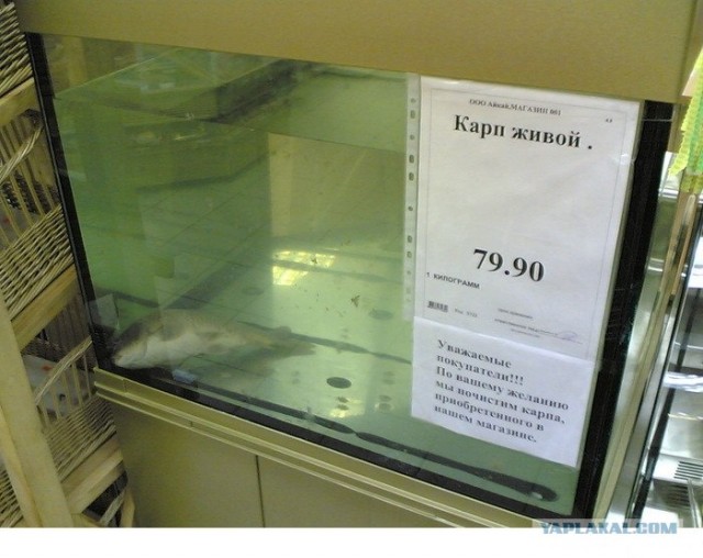 Казусы моего города. Часть первая