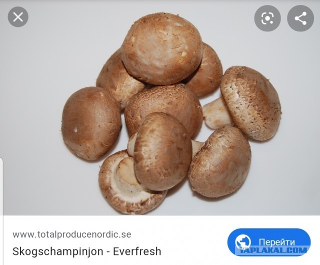 Быстромаринованные шампиньоны.