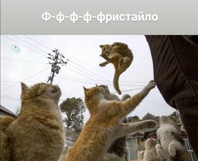 Немного смешных картинок