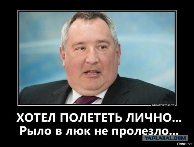"В указаниях не нуждаемся". Рогозин и Илон Маск поспорили в твиттере
