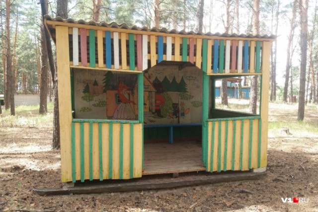 Забытый в сосновом лесу: закрытый элитный детский лагерь под Волгоградом
