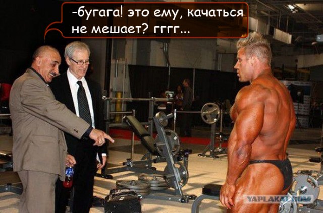 Ха-ха! Я же говрил!