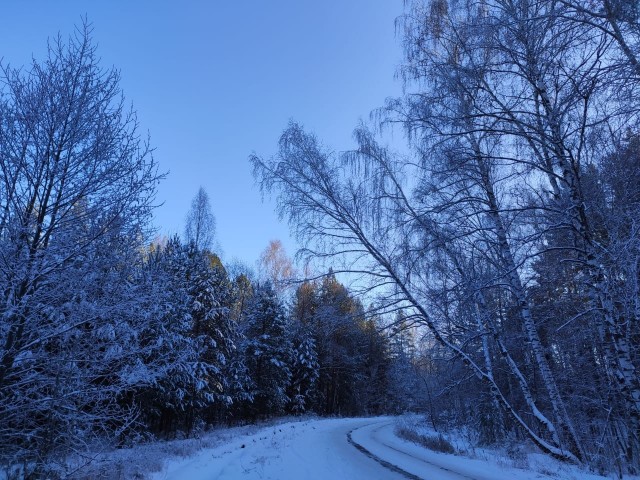 Боянистые картинки 12.12.20