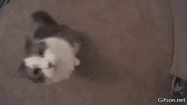 Вот, как то так.