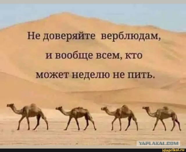 Бредзона 20.01.2021