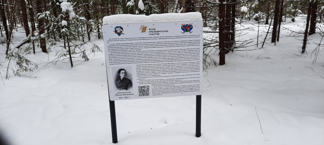 Похмельное утро
