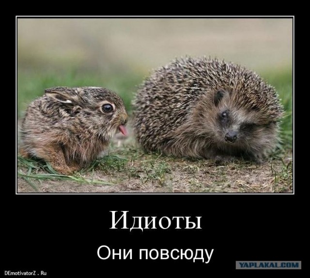 Псих прыгает с крыши поезда