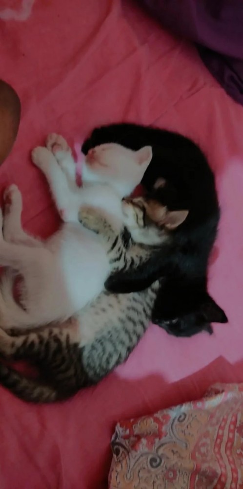 Картинки 21.03.21