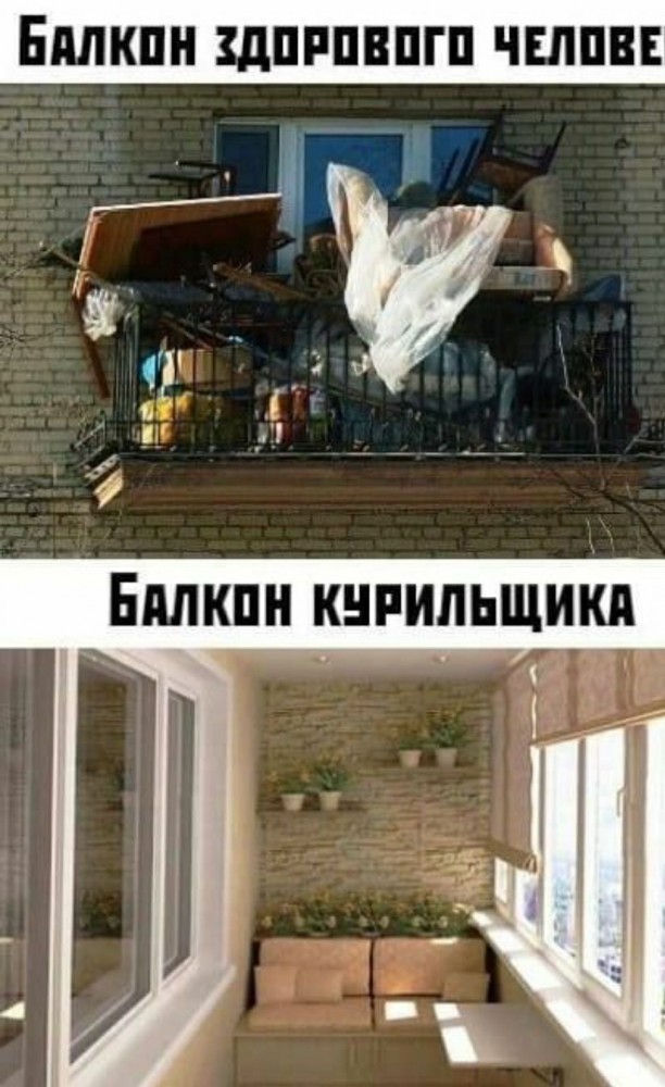 Картинки и мемы для настроения 09.09.2021