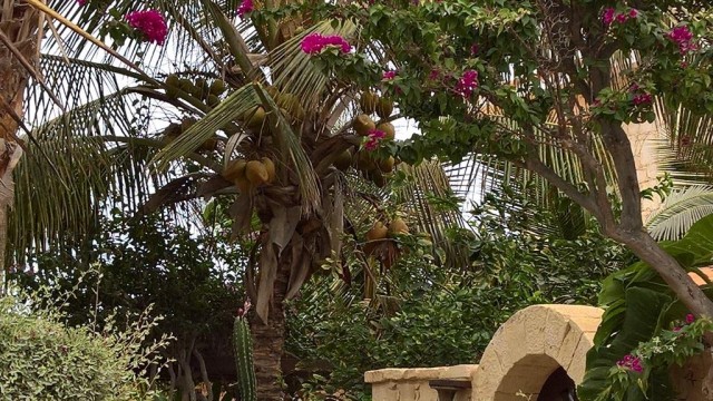 Путин назначил Наталью Поклонскую послом в Кабо-Верде