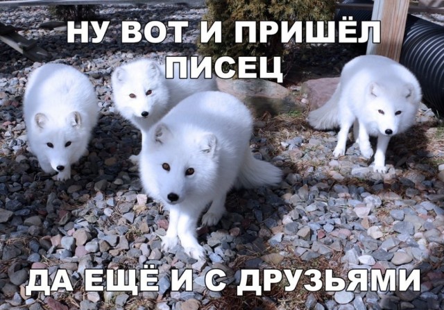 Пандемия. Коронавирус. Россия и мир. Последняя информация. Часть 26