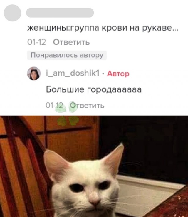 Картинки и мемы для настроения 02.02.2022