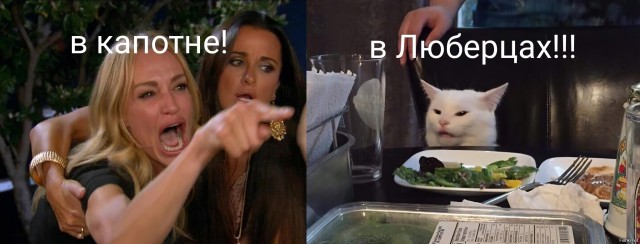 Невестка взялась делить нашу квартиру