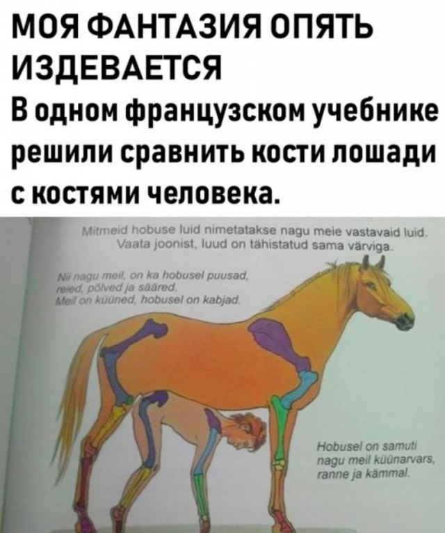 Так себе картинки 12.02.22
