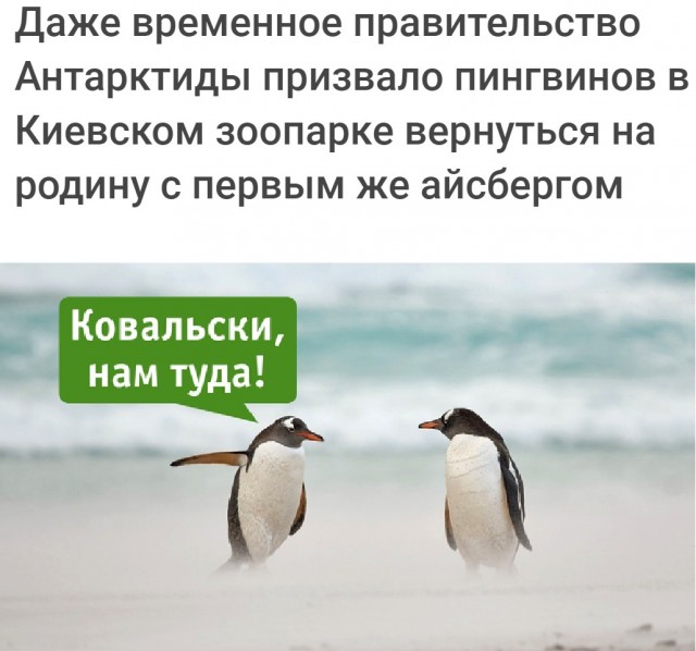 ПятничнаяХня, для деградантов