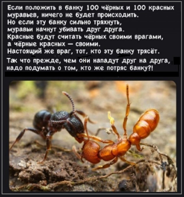 Картинки с надписями и всякие жизненные фразы